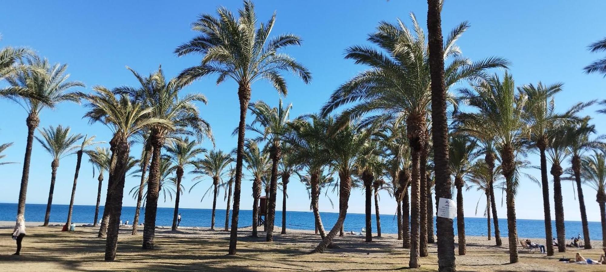 San Antonio - Beach, Pool And Terrace Торемолинос Екстериор снимка