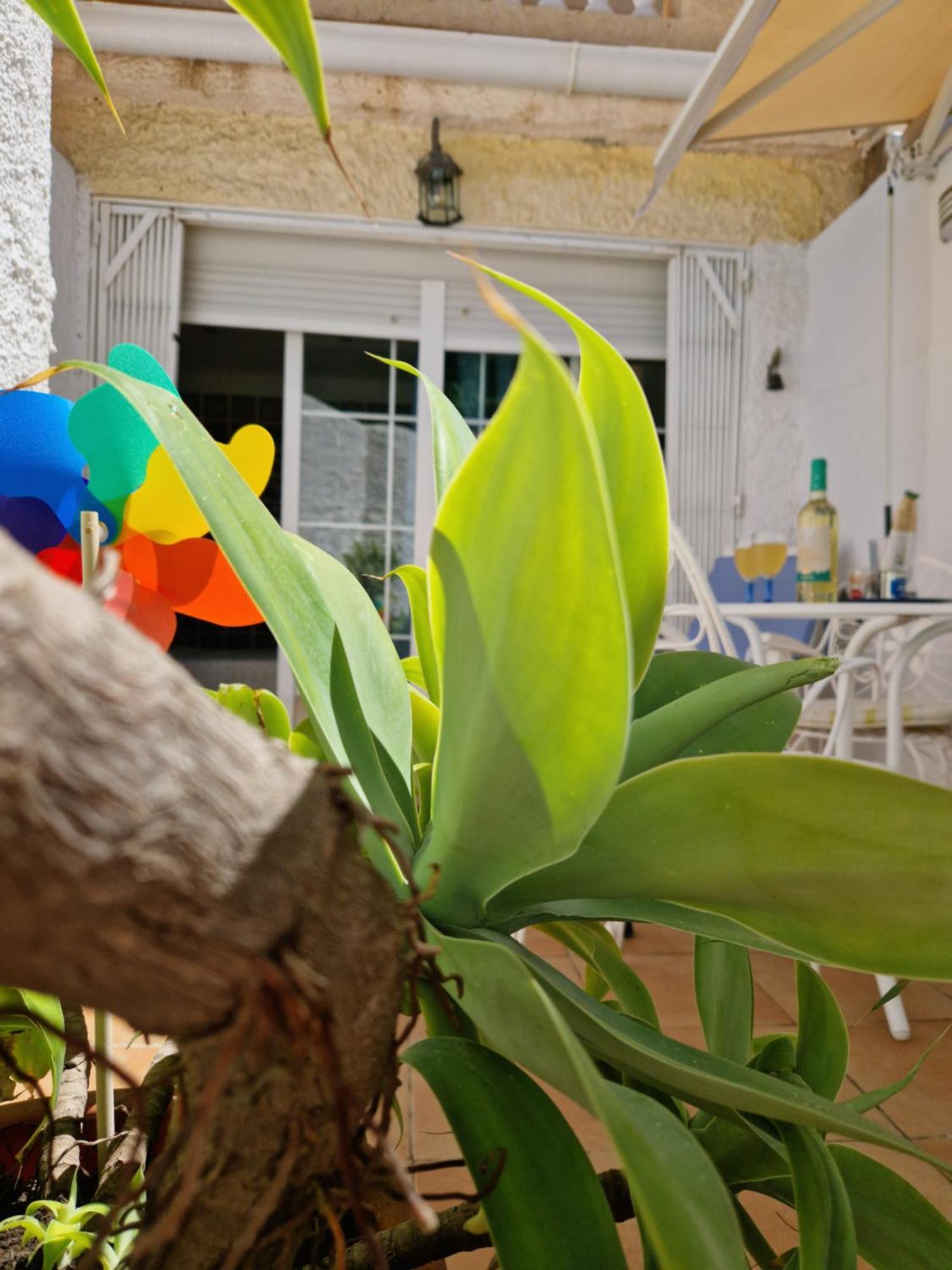 San Antonio - Beach, Pool And Terrace Торемолинос Екстериор снимка